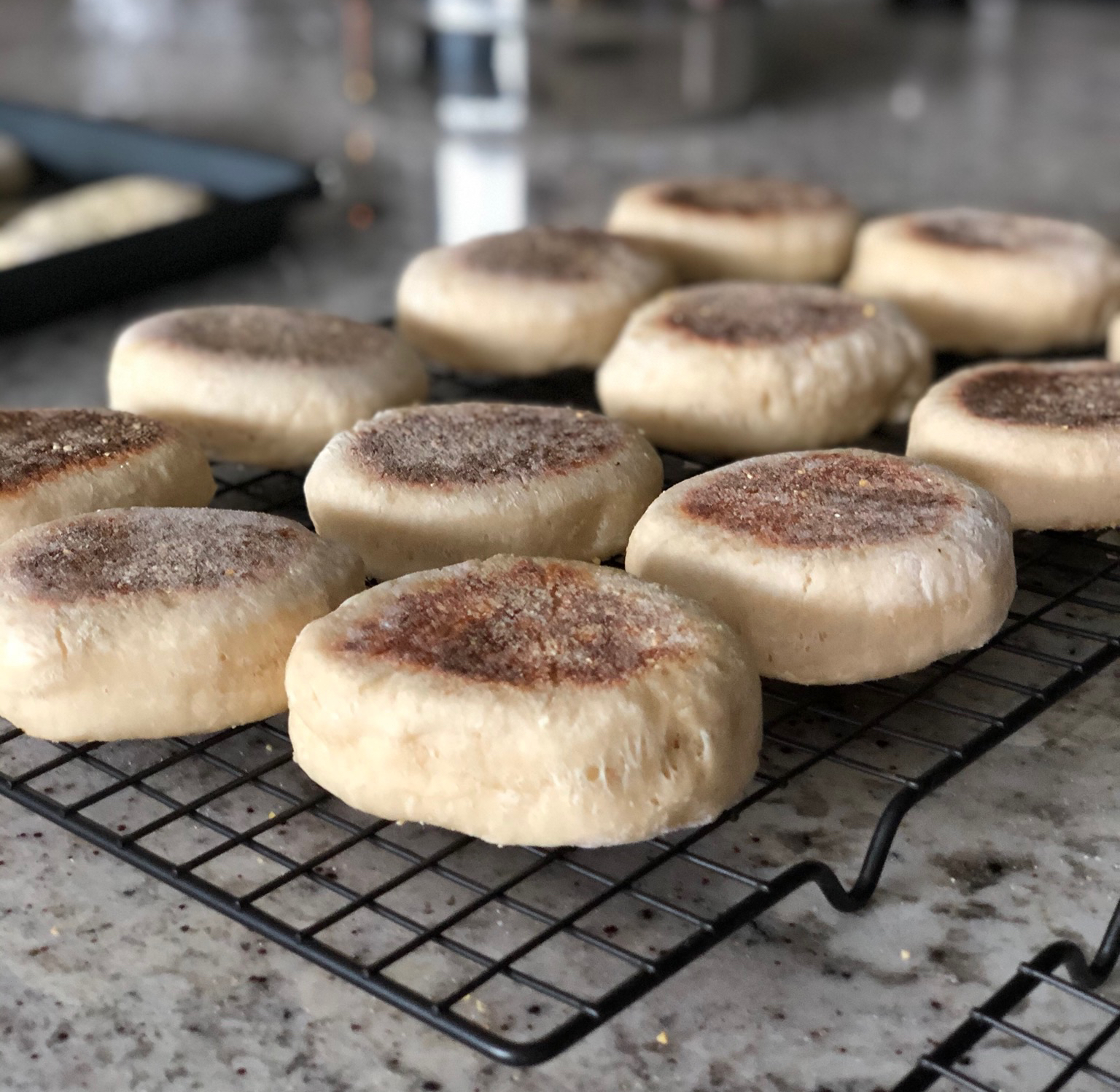 Sourdough English Muffins – AvoGoodMeal